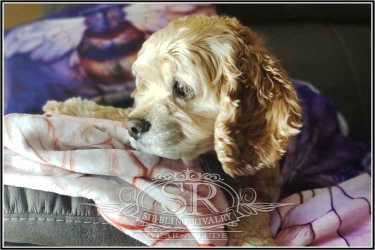 BEE WONDERFUL  Throw Blanket - SIB.BLING RIVALRY Wear Atude warm couch  blanket. Cute Buff Cocker Spaniel dog