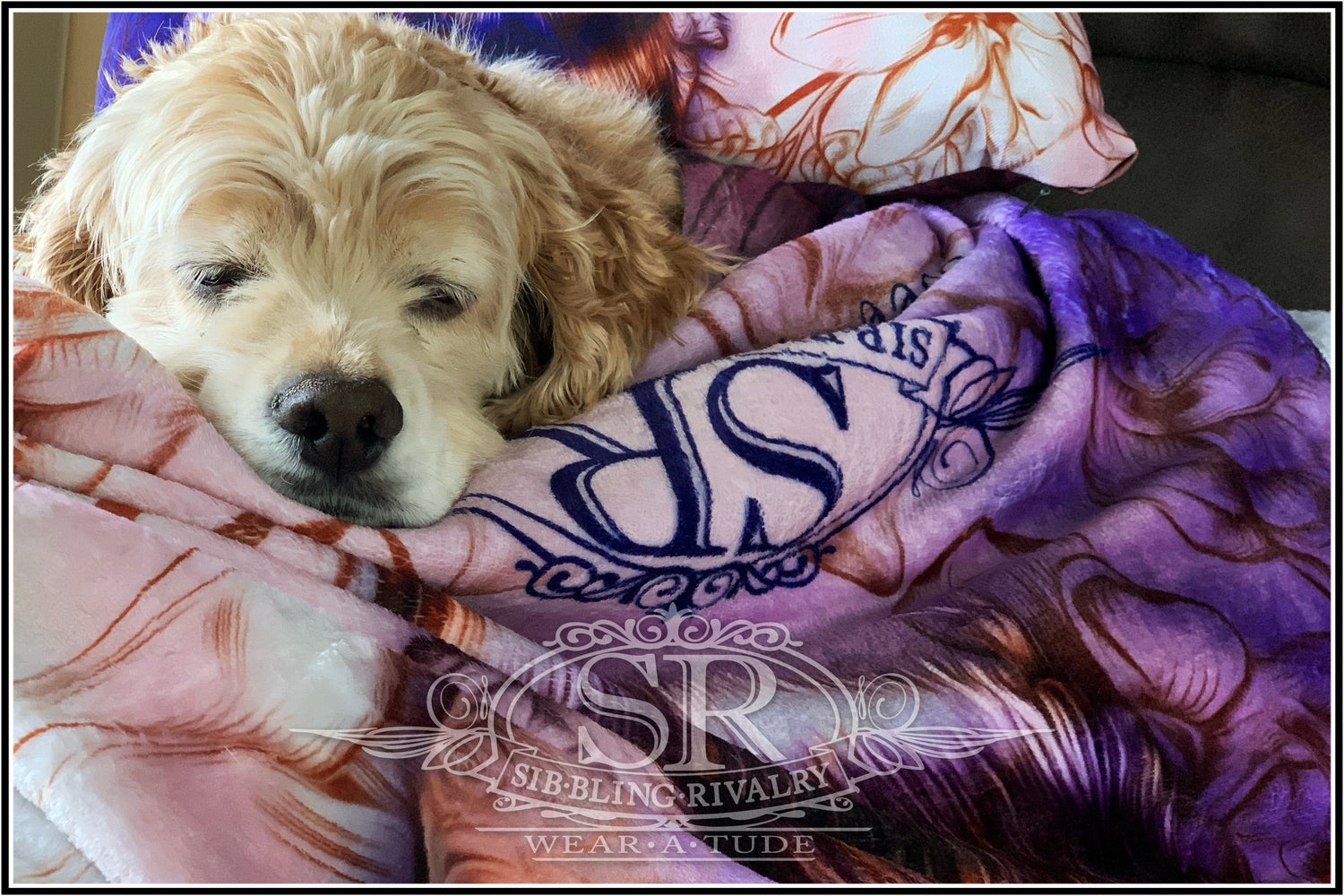 Sleeping Cocker Spaniel dog in SR Wear Atude velveteen throw blanket